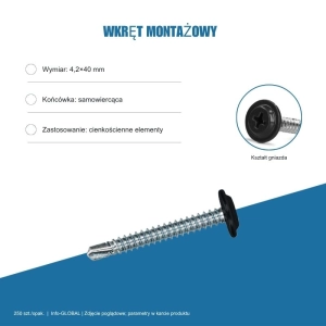 Wkręt montażowy Info-GLOBAL MB 4,2×40 mm, kolory RAL, 250 szt. Wkręt montażowy Info-GLOBAL MB 4,2×40 mm, kolory RAL, 250 szt.